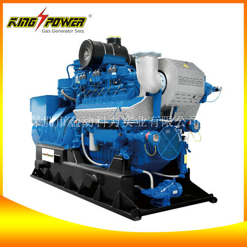 【生物質氣發(fā)電機生產商】資源問題的壓力大！