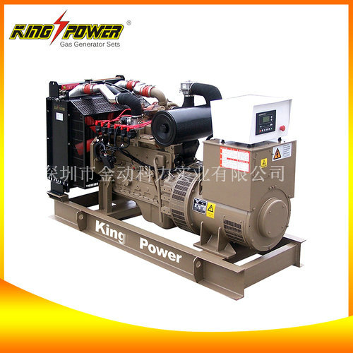 【沼氣發(fā)電機廠家】讓污染成為能源的一種！