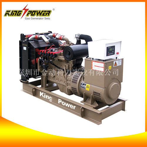 【廣東天燃氣發(fā)電機】有了我斷電一樣嗨！