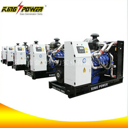 為您介紹沼氣發電機組的原理