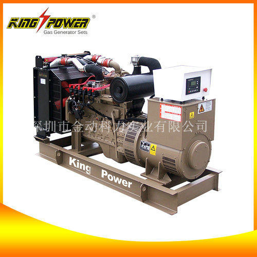 廣東天燃氣發(fā)電機/供應天然氣發(fā)電機